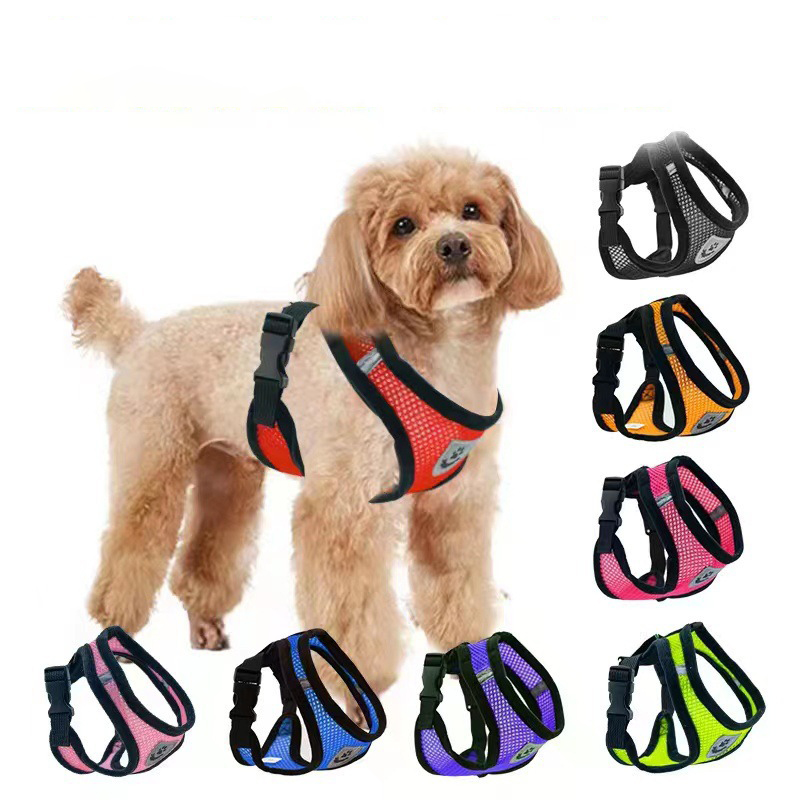 Été chaud petit chien animal d - Mini Trampoline Spring avis et prix