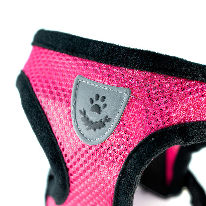 Été chaud petit chien animal d - Mini Trampoline Spring avis et prix